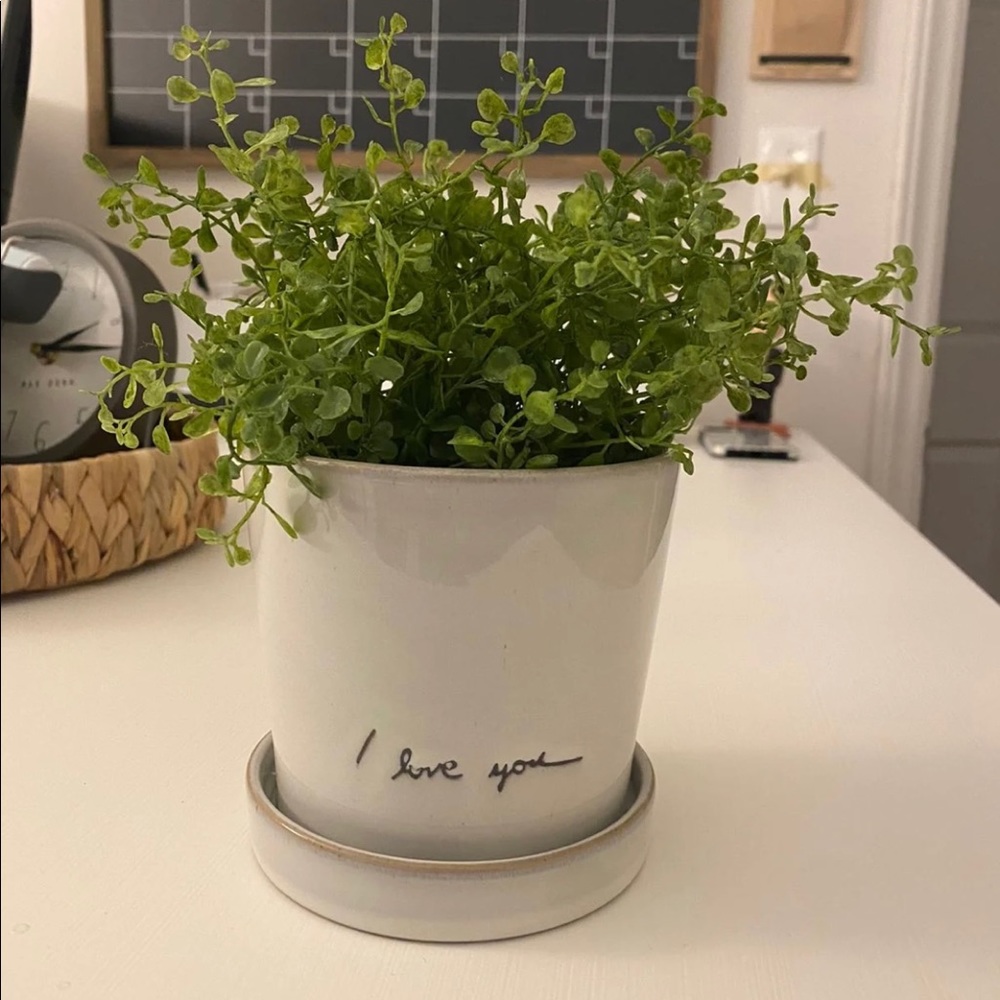 Hearth and Hand with Magnolia